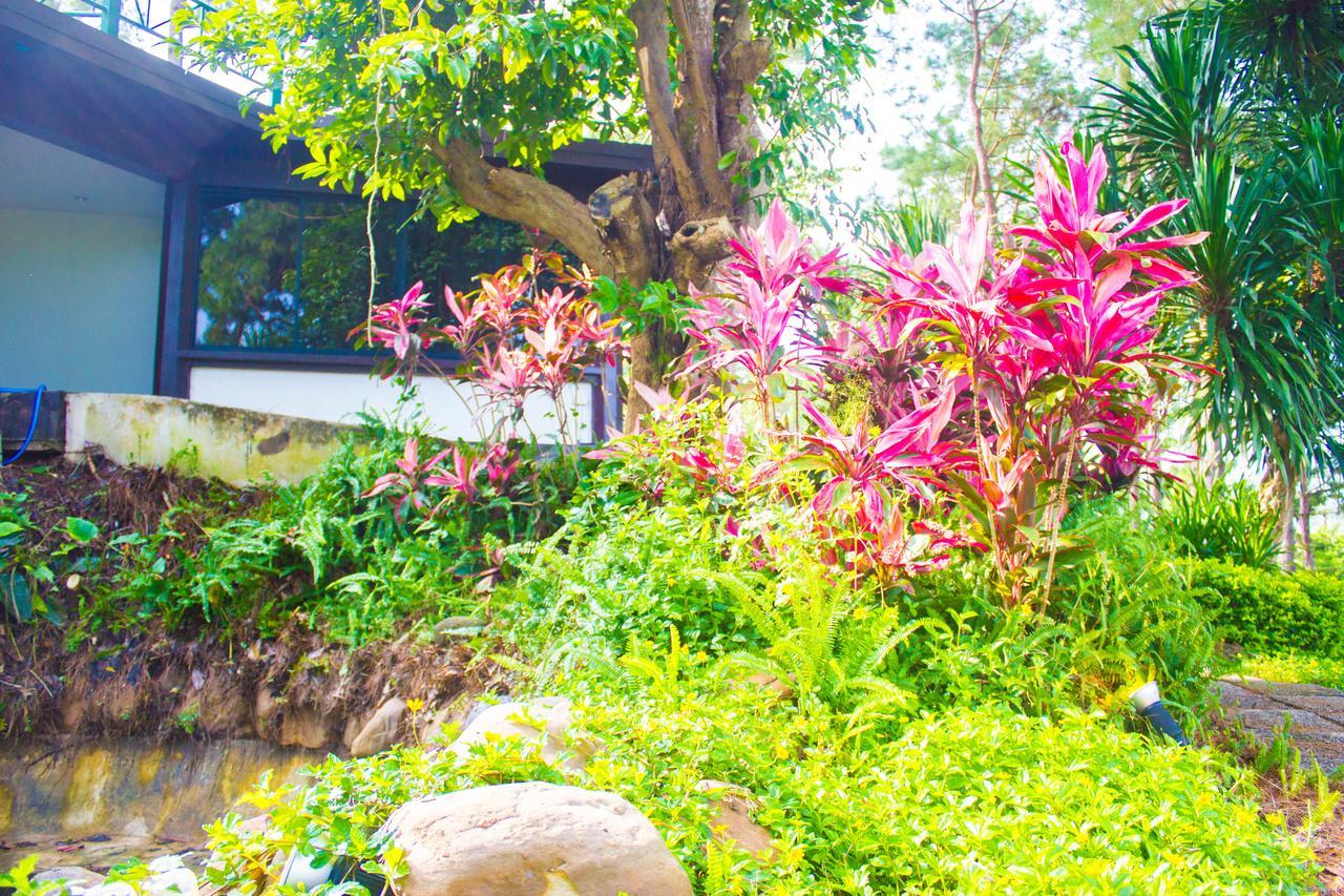 Bird Land Resort Khao Kho Exterior photo